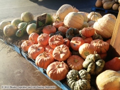 Choice of Pumpkins at Whole Foods Austin, TX | Books, Cupcakes, and Cats Chasing Chipmunks
