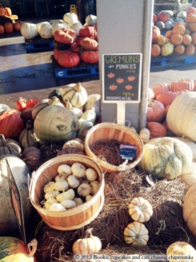Choice of Pumpkins at Whole Foods Austin, TX | Books, Cupcakes, and Cats Chasing Chipmunks