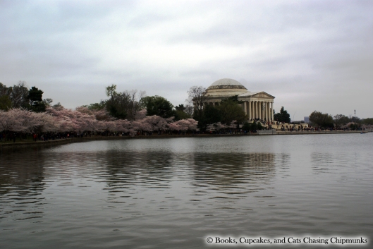 Cherry Blossoms near the Jefferson Memorial - Washington, DC | Books, Cupcakes, and Cats Chasing Chipmunks