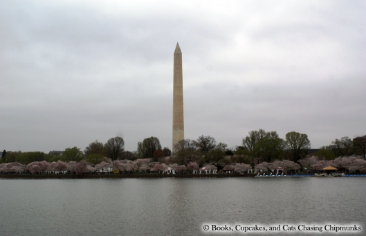 Cherry Blossoms and the Washington Monument - Washington, DC | Books, Cupcakes, and Cats Chasing Chipmunks