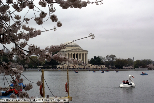 Jefferson Memorial, Cherry Blossoms - Washington, DC | Books, Cupcakes, and Cats Chasing Chipmunks