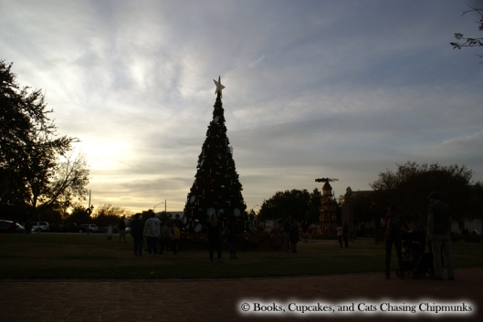 Christmas Tree - Fredericksburg, TX | Books, Cupcakes, and Cats Chasing Chipmunks