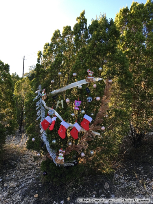 Texas' Christmas Tree on Loop 360 - Austin, TX | Books, Cupcakes, and Cats Chasing Chipmunks